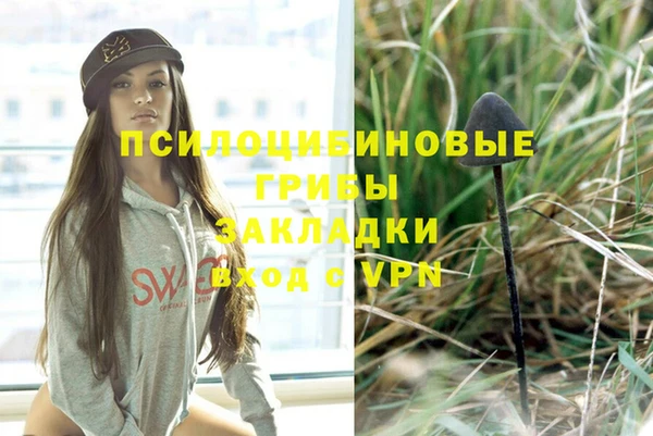 амф Белокуриха