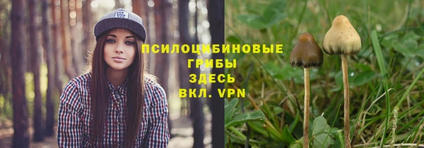 амф Белокуриха